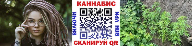 Каннабис планчик  Яхрома 